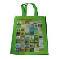 宣城LB11覆膜无纺布广告袋